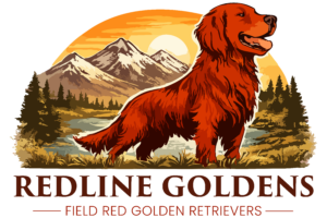 High Desert Paws Is Now Redline Goldens