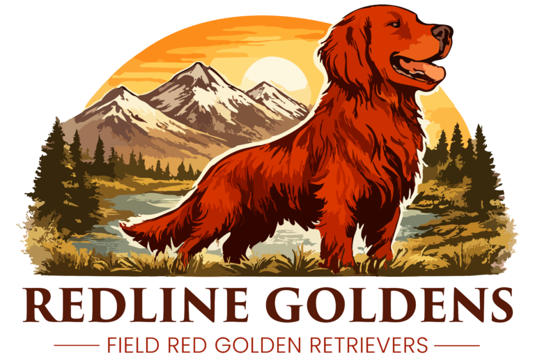 Redline Goldens Logo V1