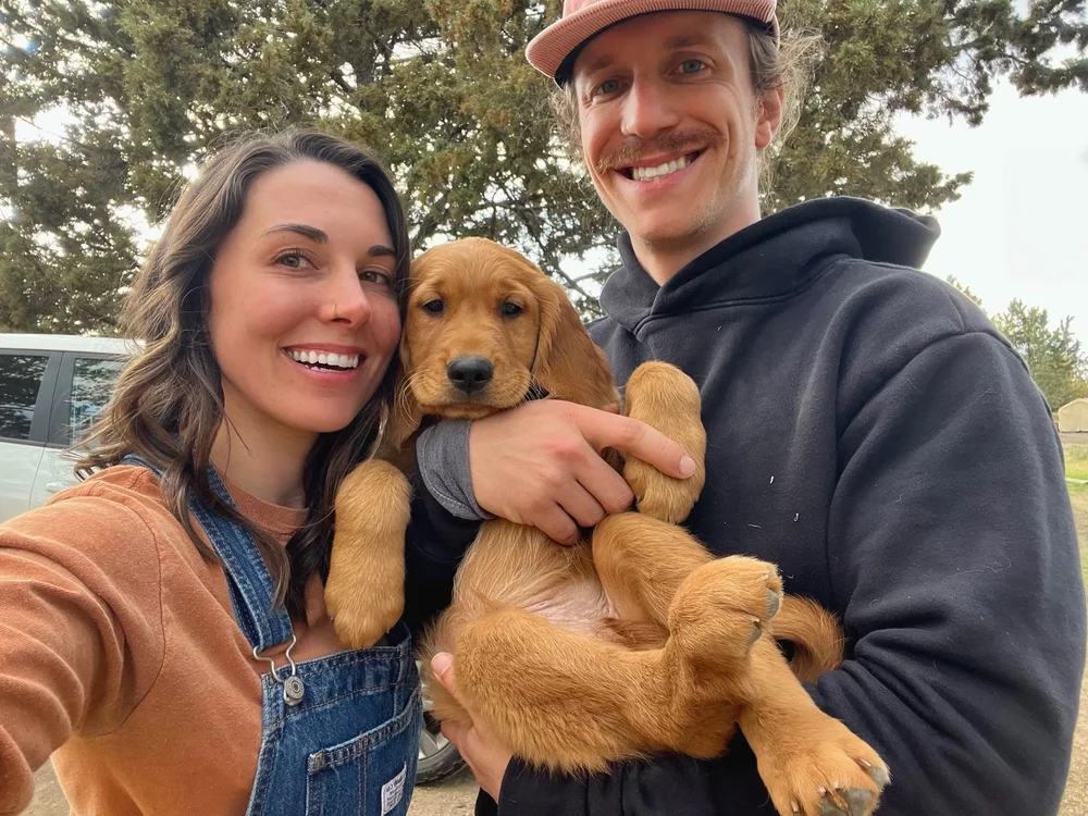 Cliff - Male Red Golden Retriever — Macey and Liz