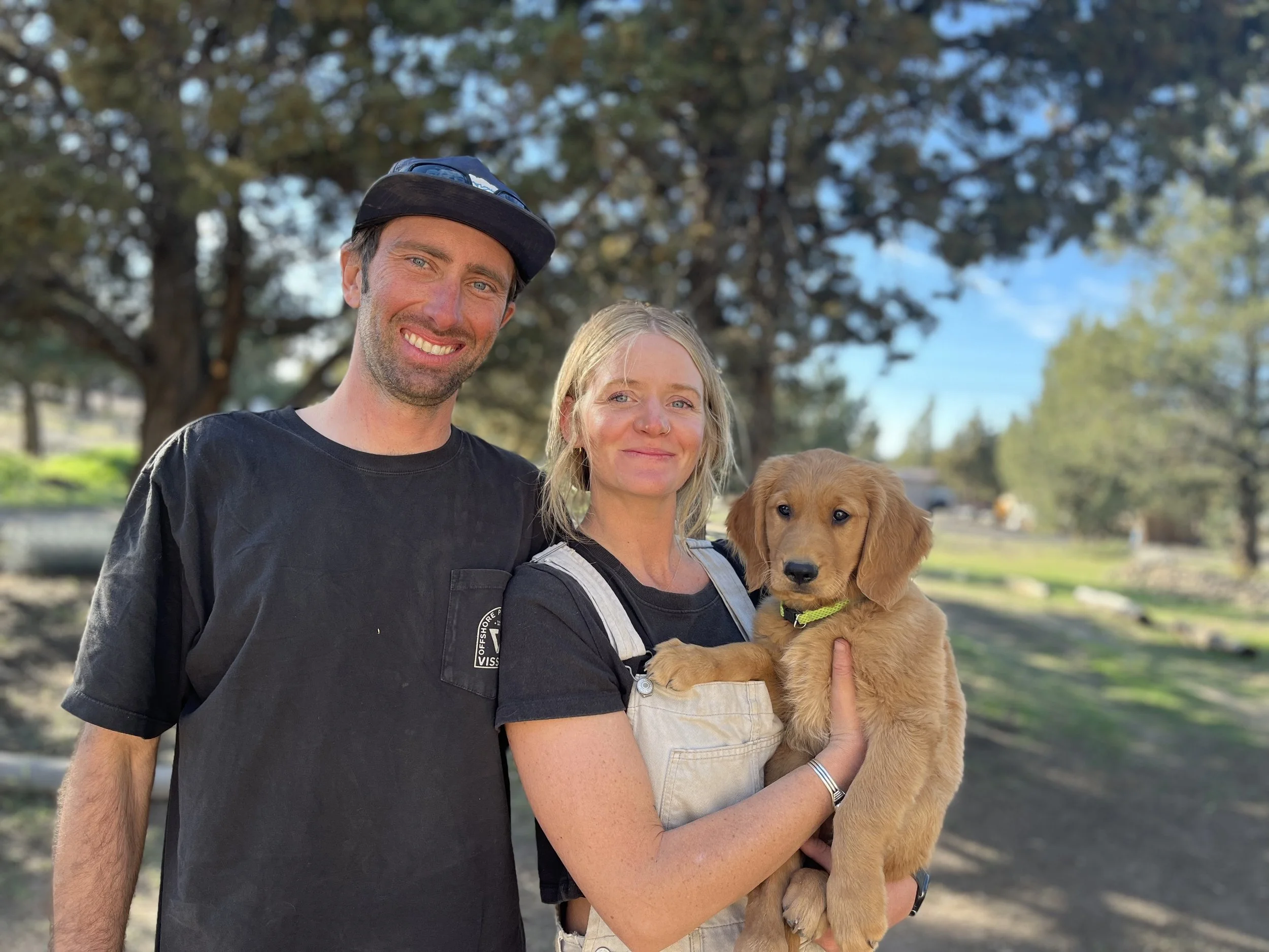Sage - Male Red Golden Retriever — Jessie & Cody